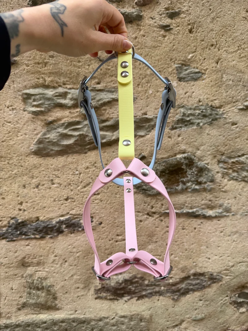 Harnais « Y » en Biothane- Le trio Pastel