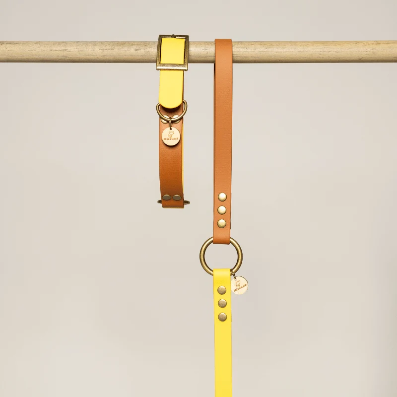 Collier biothane bi-color MARRON/JAUNE