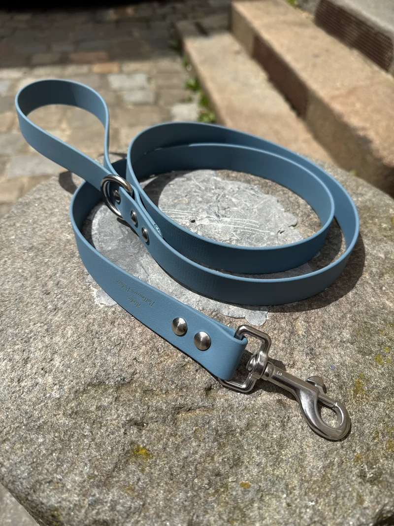 Laisse essentielle large-Biothane- Bleu Pétrole