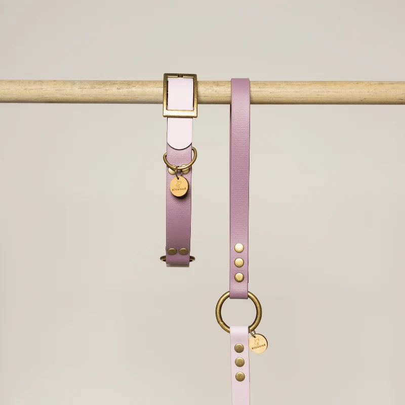Collier biothane bi-color MAUVE/VIOLET