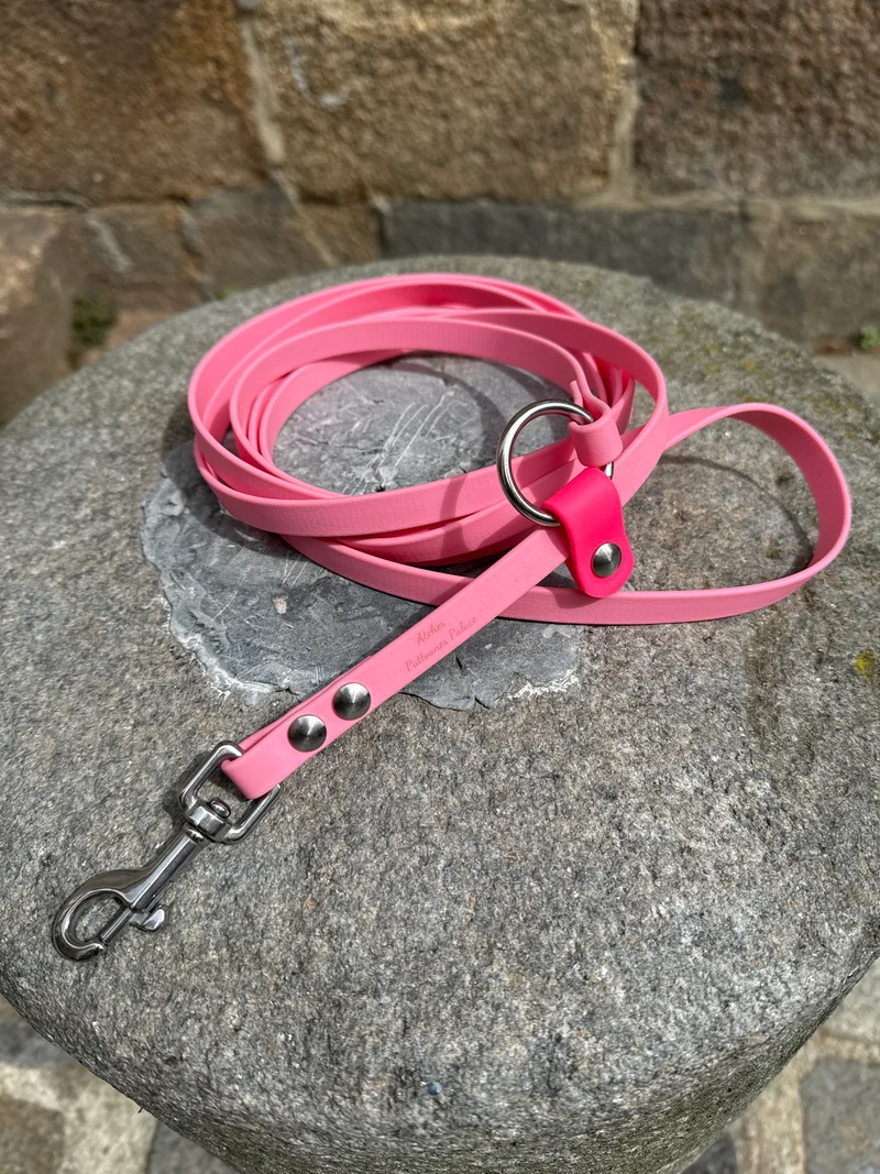 Laisse Kit Main Libre MINI -Biothane- Rose Girly et Rose néon