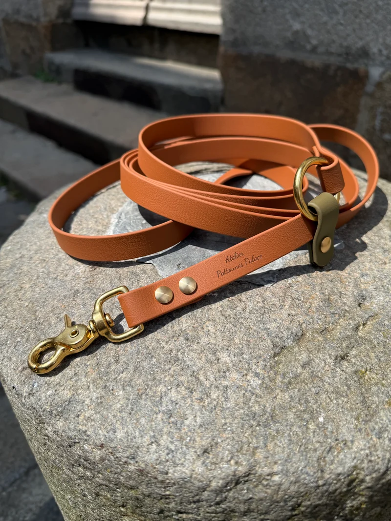 Laisse kit main libre -Biothane- camel et kaki