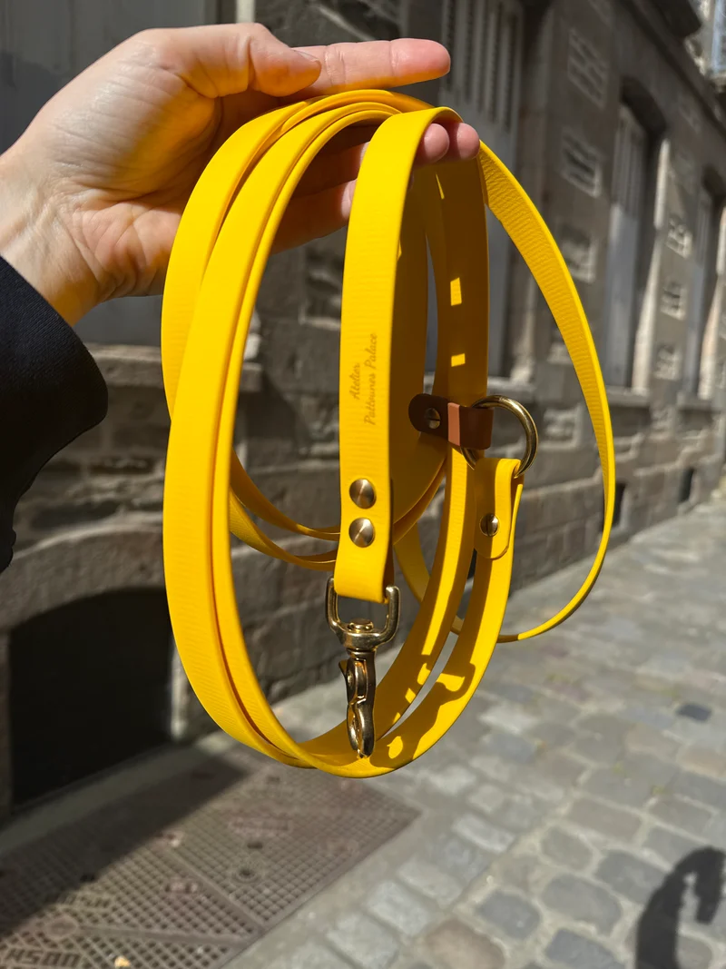 Laisse kit main libre -Biothane- jaune et camel