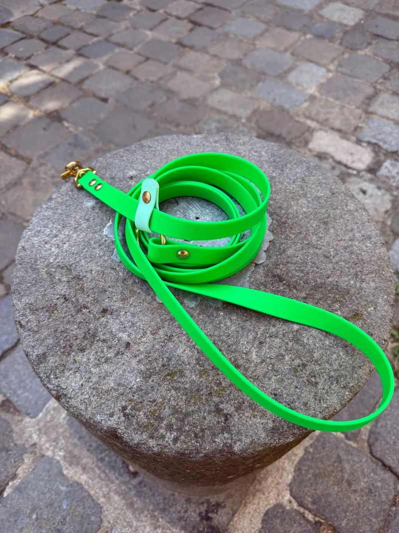 Laisse kit main libre - Biothane - vert néon et caraïbe