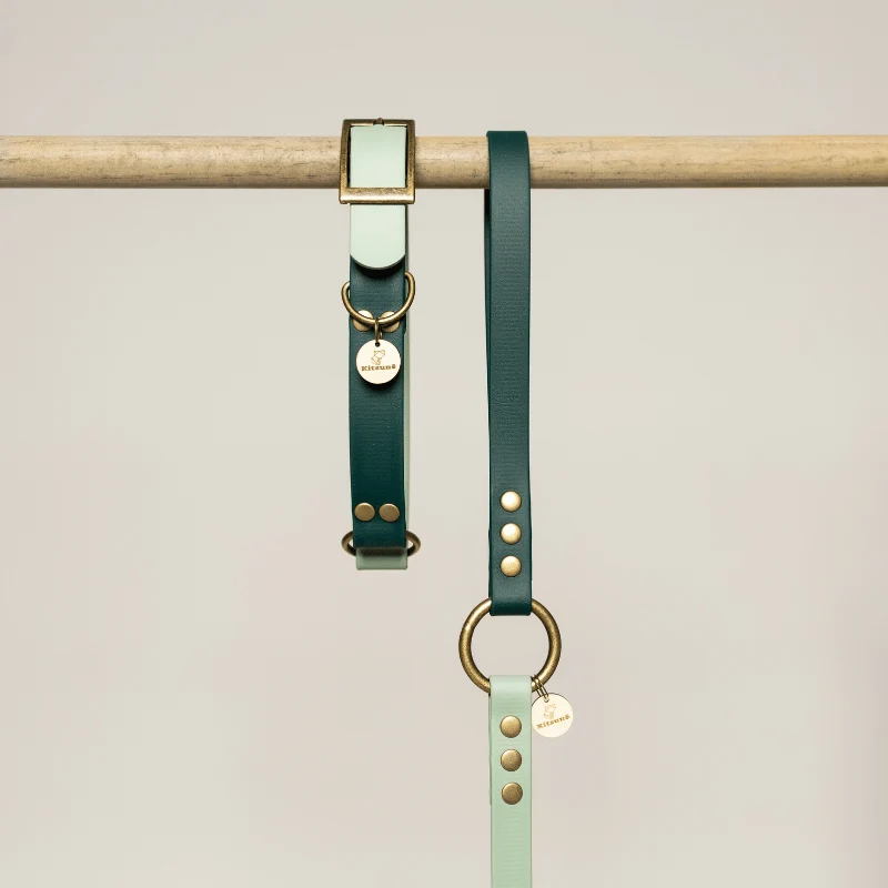 Laisse pour chien biothane VERT D'EAU et VERT FONCE