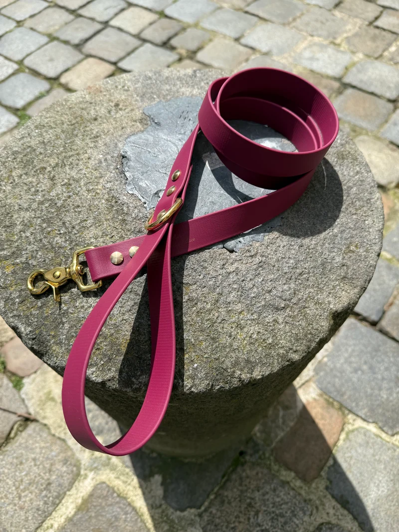 Laisse essentielle large-Boithane-lie de vin