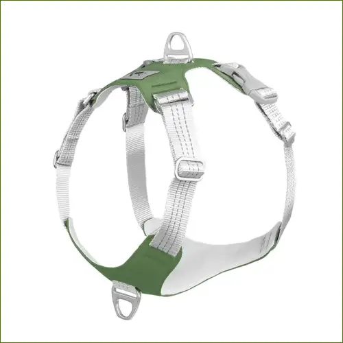Harnais braque de Weimar anti traction pour cani cross ou sport