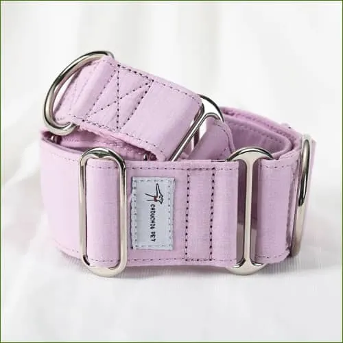 Collier martingale en coton avec boucles chromées pour chiens