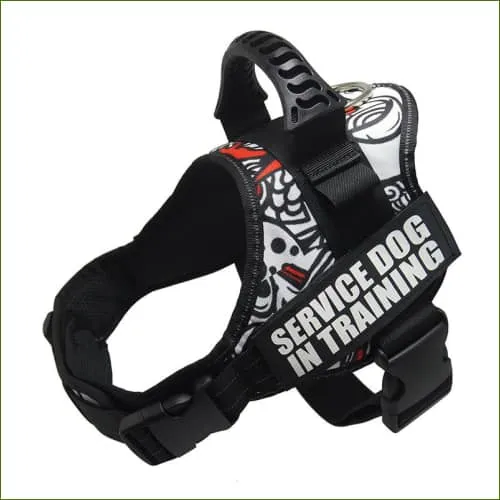 Harnais KOMI pour la promenade, avec personnalisation pour bulldog anglais