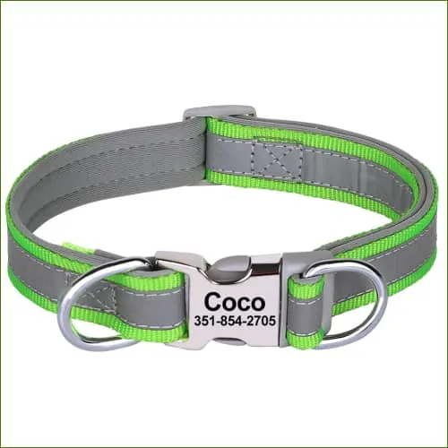 Collier avec prénom réfléchissant pour Jack Russell en nylon Vert ou Bleu