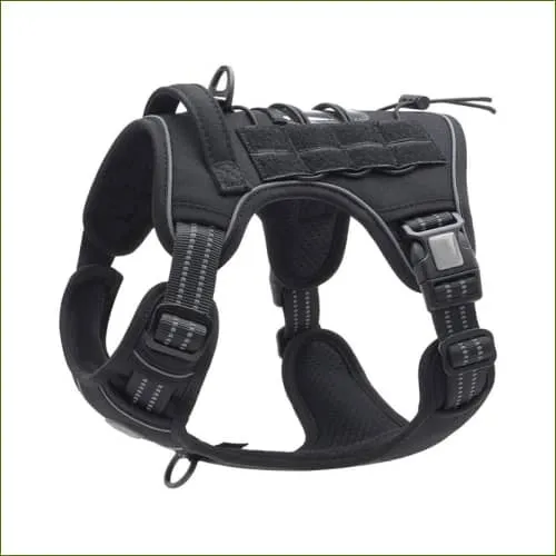 Harnais anti traction tactique pour jack russel
