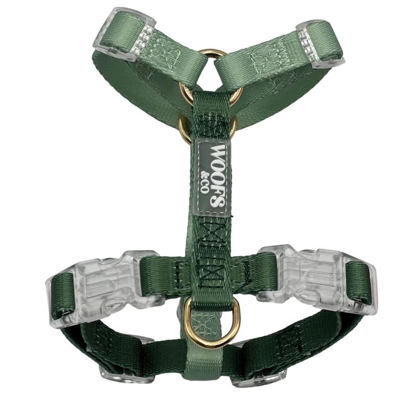 Harnais bicolore Sage Green