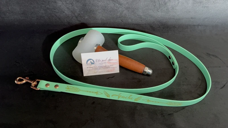 Laisse simple pour chien en BIOTHANE personnalisable