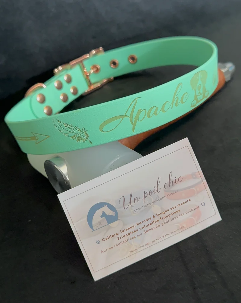 Collier pour chien sur mesure et personnalisable en BIOTHANE Unicolore