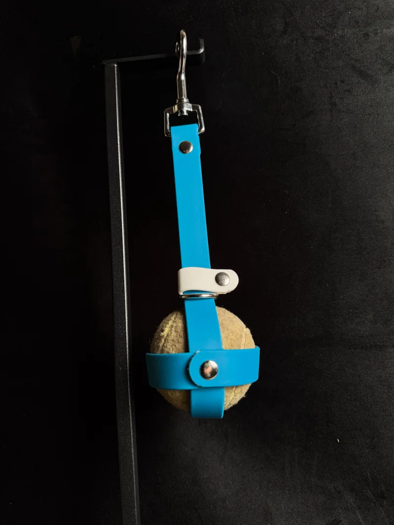 Porte-balle pour chien