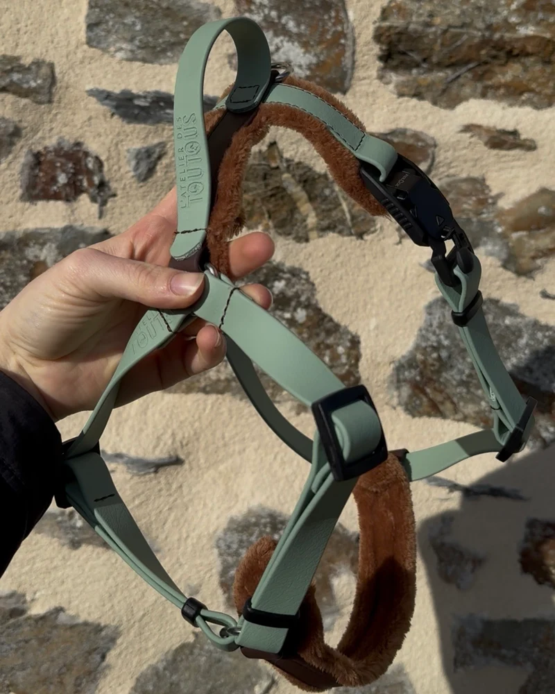 Harnais Fidlock® BioThane® — Clipsage magnétique 2 secondes