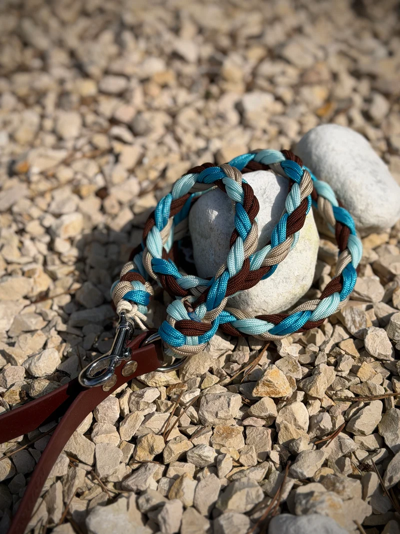 Laisse mixte 110 cm · Paracorde & poignée BioThane®