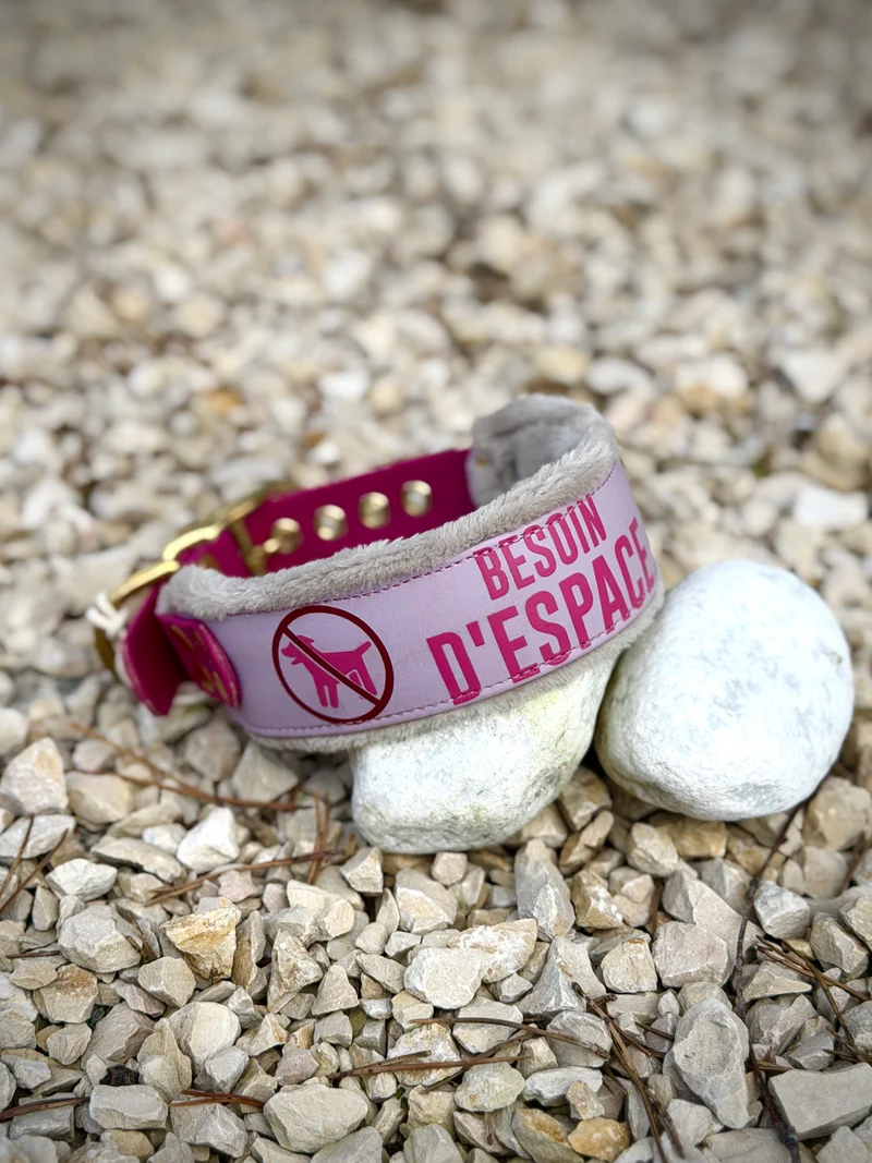 Collier Edelweiss à message (31-40 cm) · BioThane® 38 mm