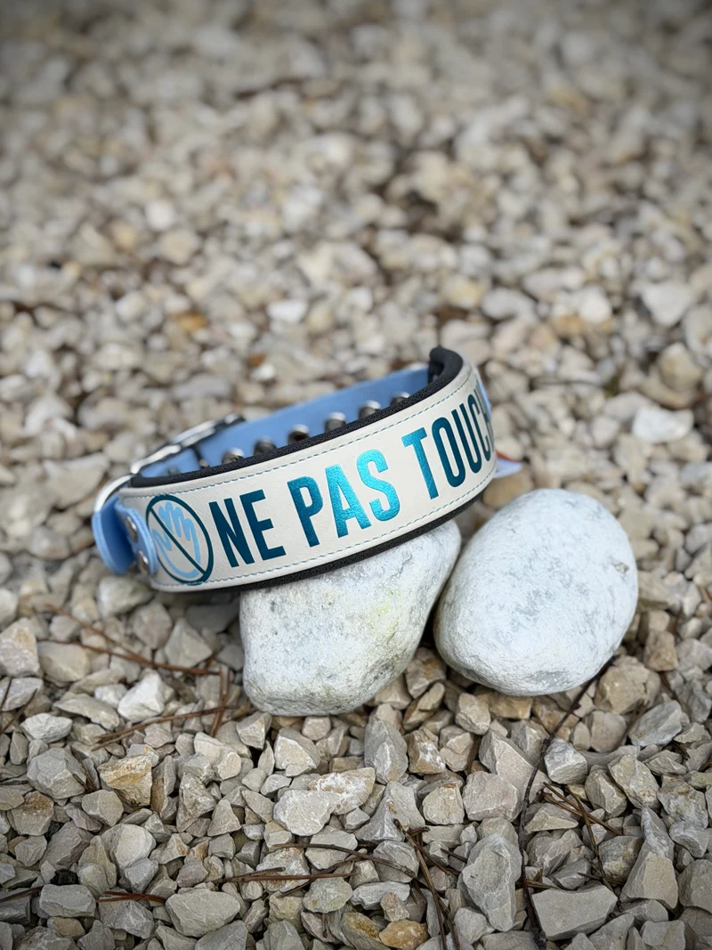 Collier Edelweiss à message (30-41 cm) · BioThane® 38 mm