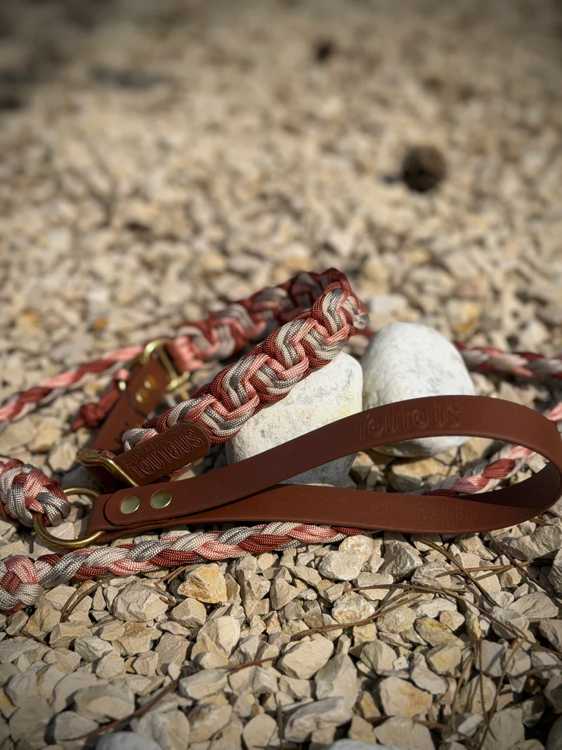 Ensemble Arolla — Collier paracorde + laisse mixte (32-41 cm, laiton)