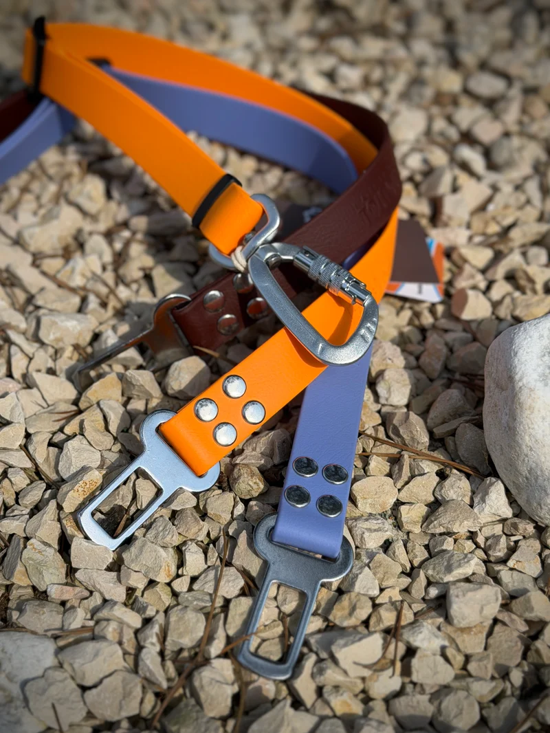 Ceinture de sécurité