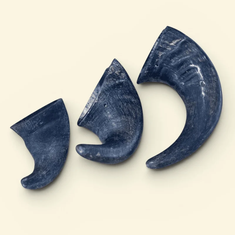 Corne de buffle (L 230-350g)
