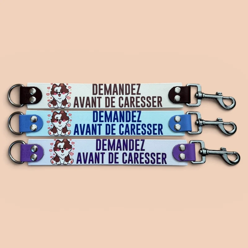 DogTalker© UV « Demander avant de caresser » En collab avec @nas.artspace
