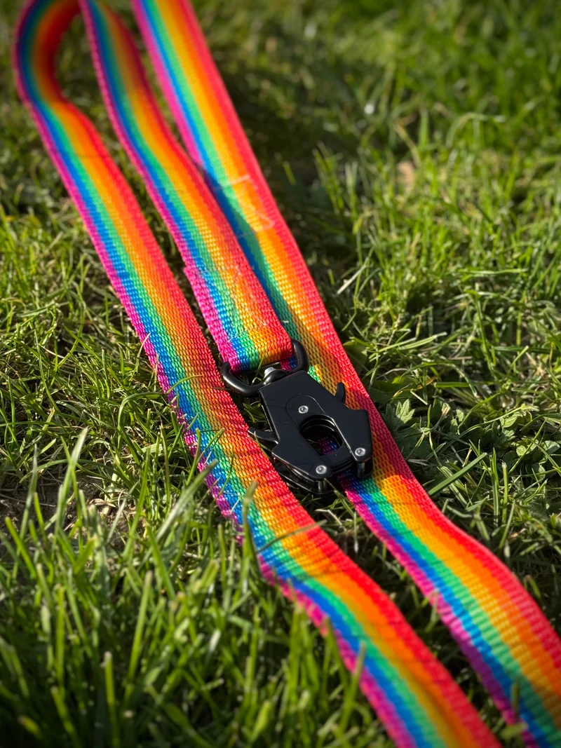 Laisse Rainbow 🌈 · Nylon durable arc-en-ciel