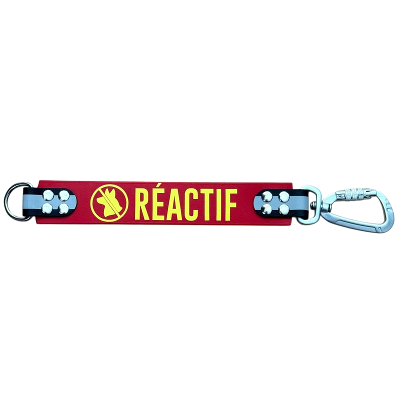 DogTalker© « Réactif »