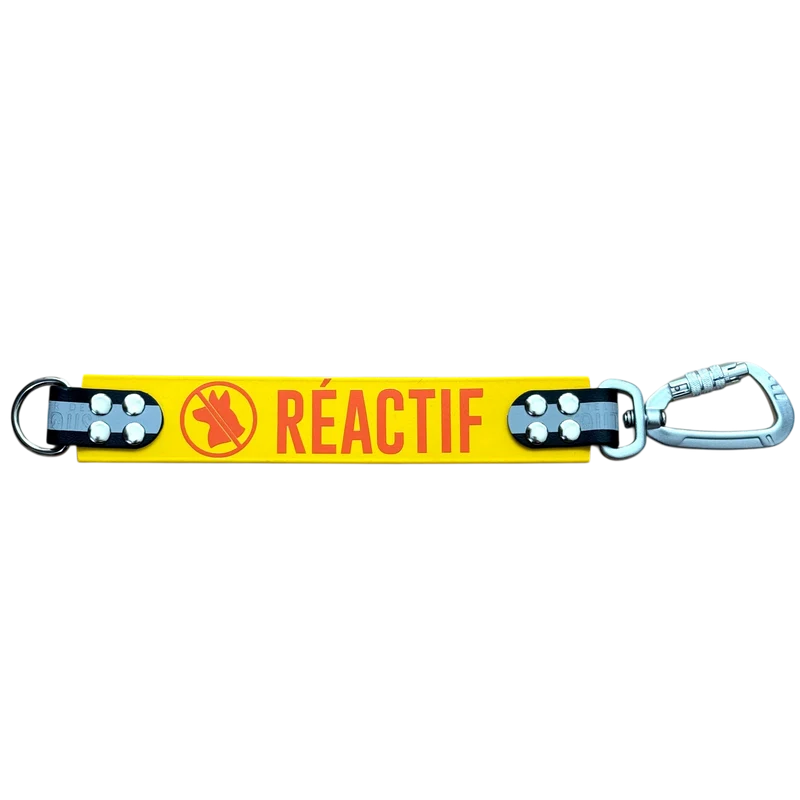 DogTalker© « Réactif »