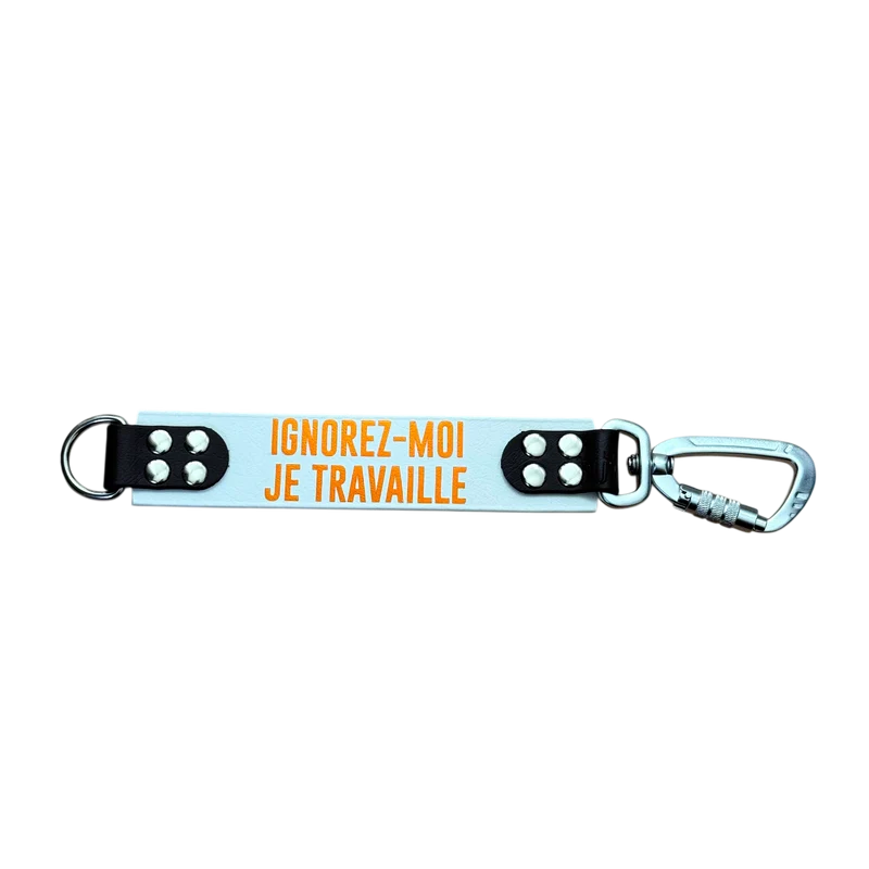 DogTalker© « Ignorez-moi (je travaille) »