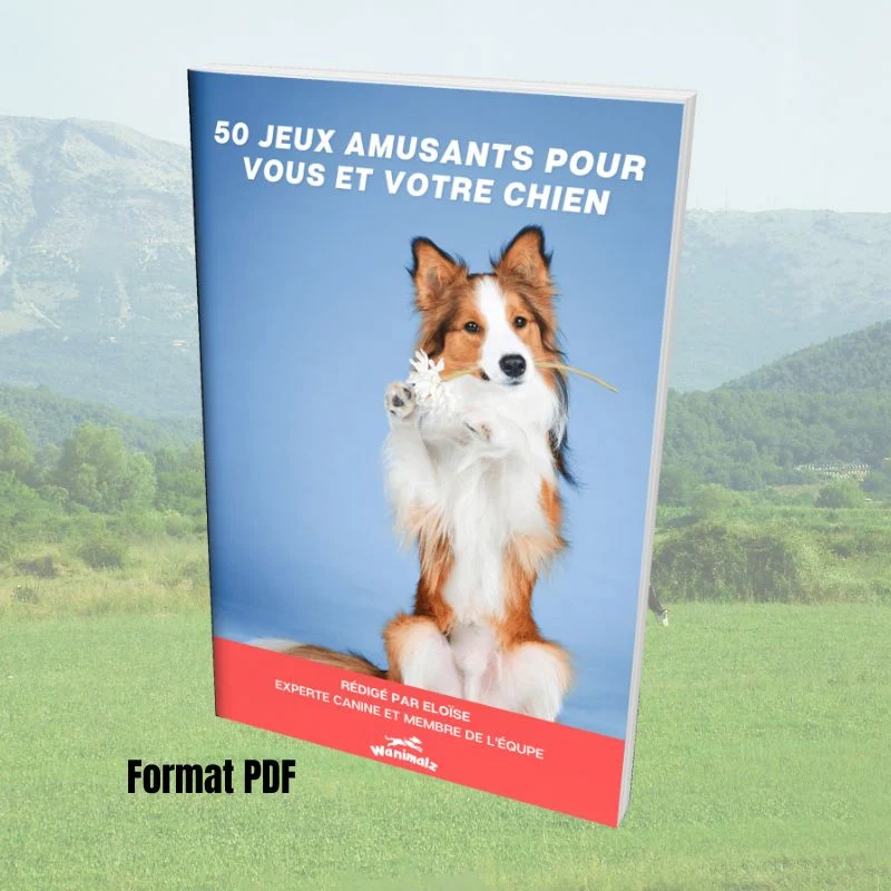 Ebook : 50 tours amusants à apprendre à son chien