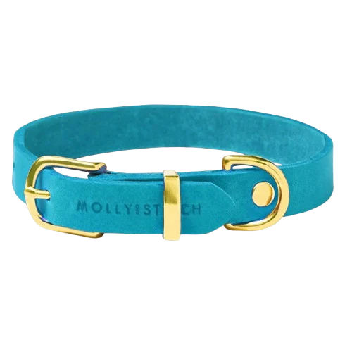 Sellerie Teckel Collier Cuir Butter Fiji Bleu