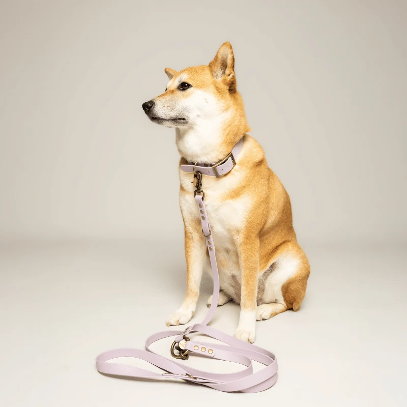 Collier biothane mauve - LAVANDE