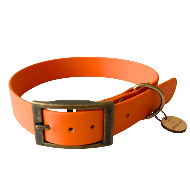Collier biothane orange - ORANGE