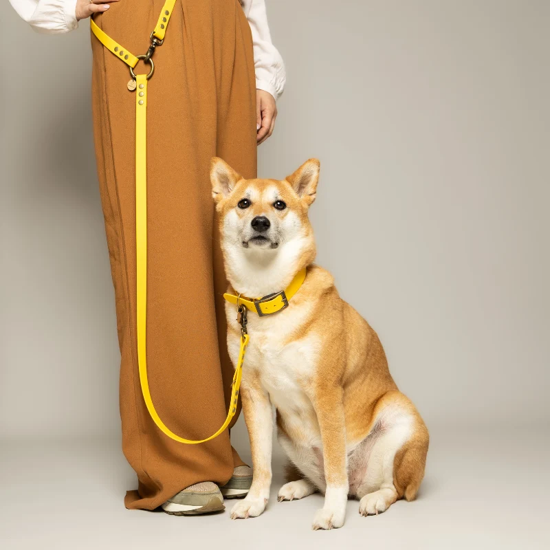 Laisse multiposition chien biothane jaune - CITRON
