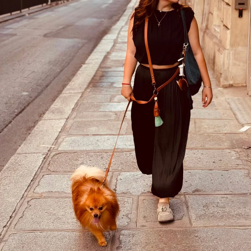 Laisse multiposition chien biothane marron - MONTMARTRE