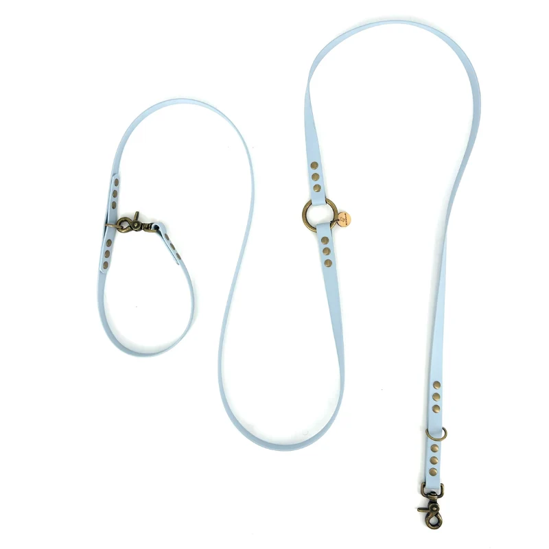 Laisse multiposition chien biothane bleu - CIEL
