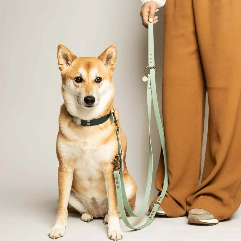 Laisse multiposition chien biothane vert d'eau - MINT