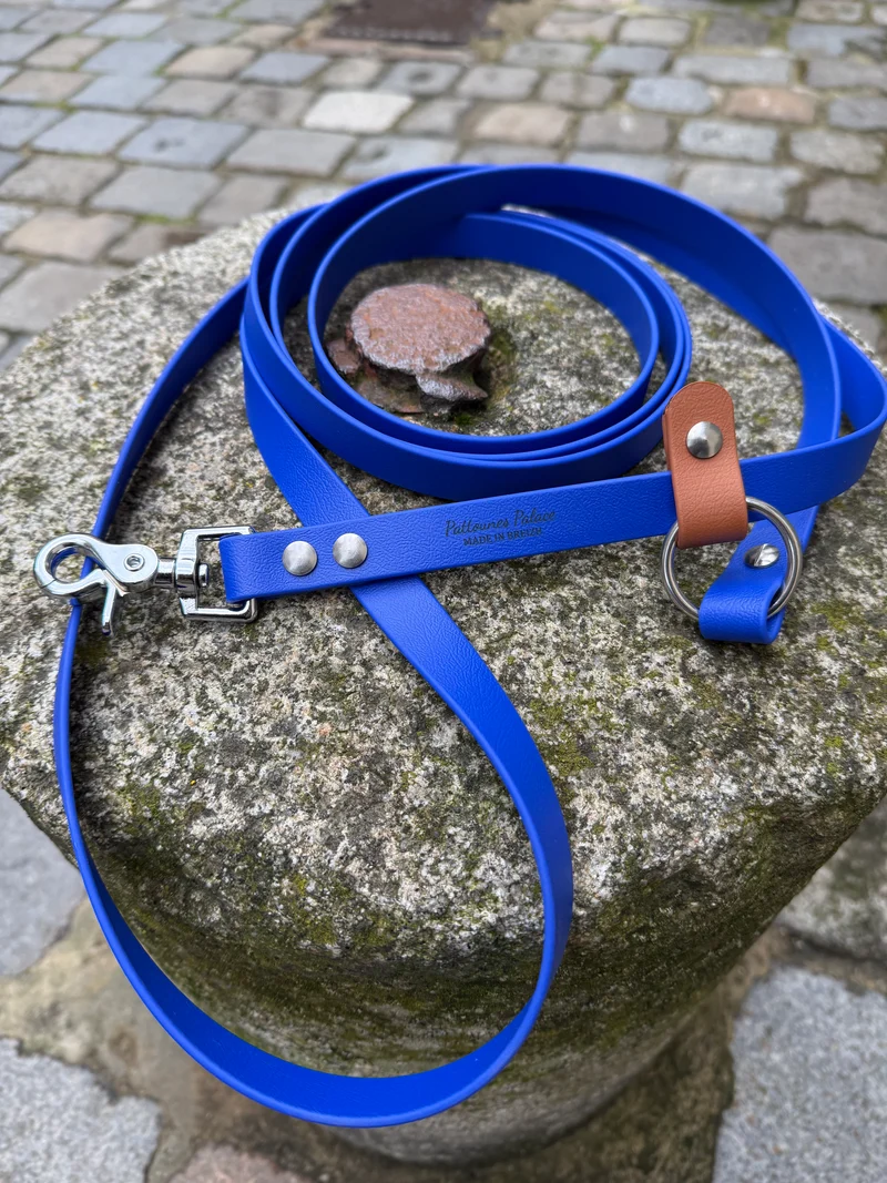 Laisse kit main libre -Biothane- bleu roi et camel