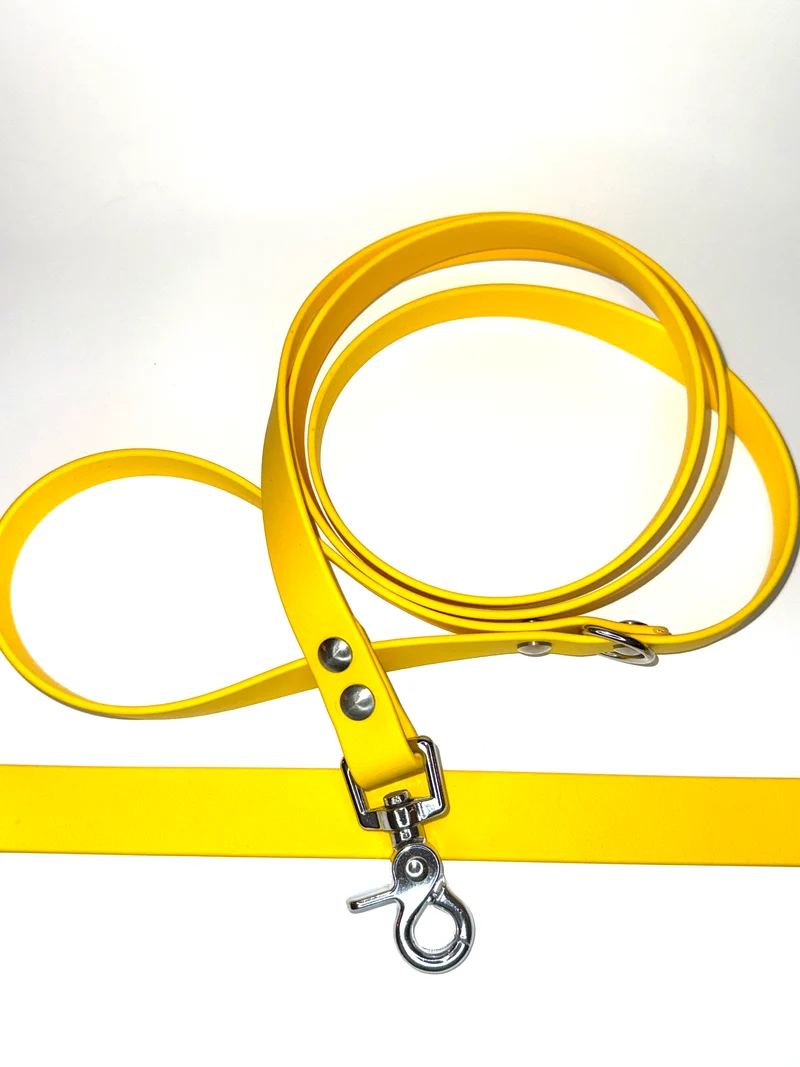 Laisse essentiel 1m50 -Biothane-