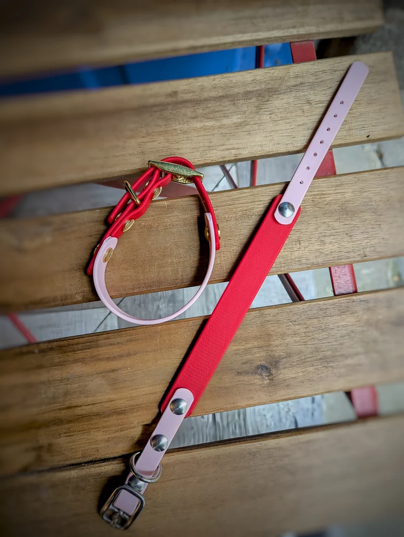Collier Biothane - Rose & Rouge - spécial Petit chien