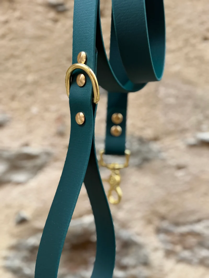 Laisse essentielle large-Biothane-vert sapin