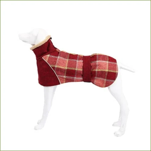 Manteau à carreaux style écossais pour chiens lévriers
