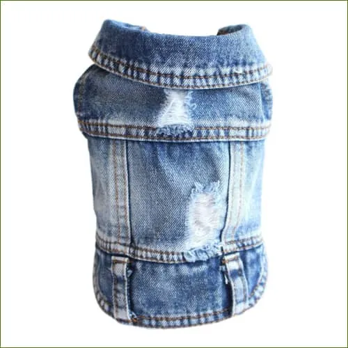 Veste en jean design pour petits chiens, pensée pour bouger
