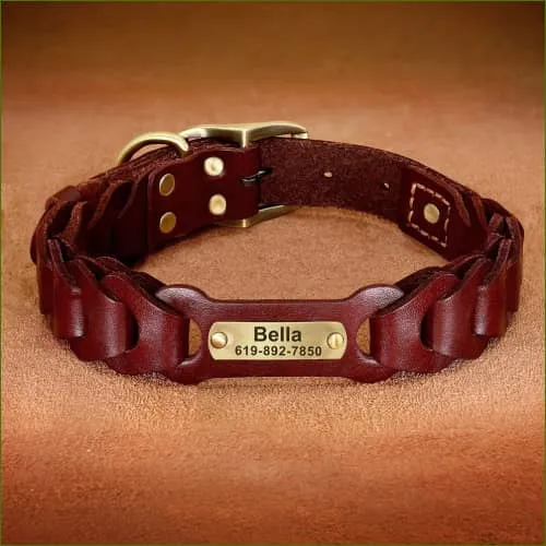 Collier avec gravure en cuir tressé pour grand chien