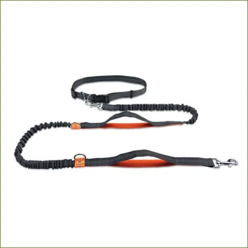 Ceinture laisse de canicross en nylon