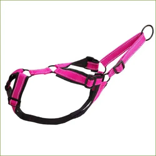 Harnais compétition imperméable en nylon pour chien - spécial canicross