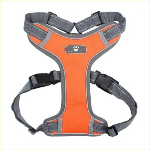 Harnais court canicross confort pour petit chien