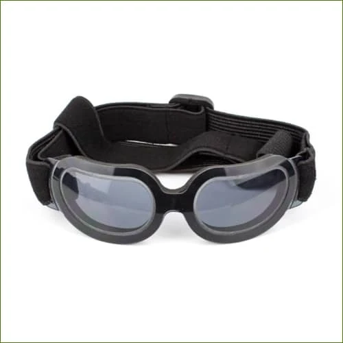 Lunettes pour chien chihuahua ou yorkshire - Doggles